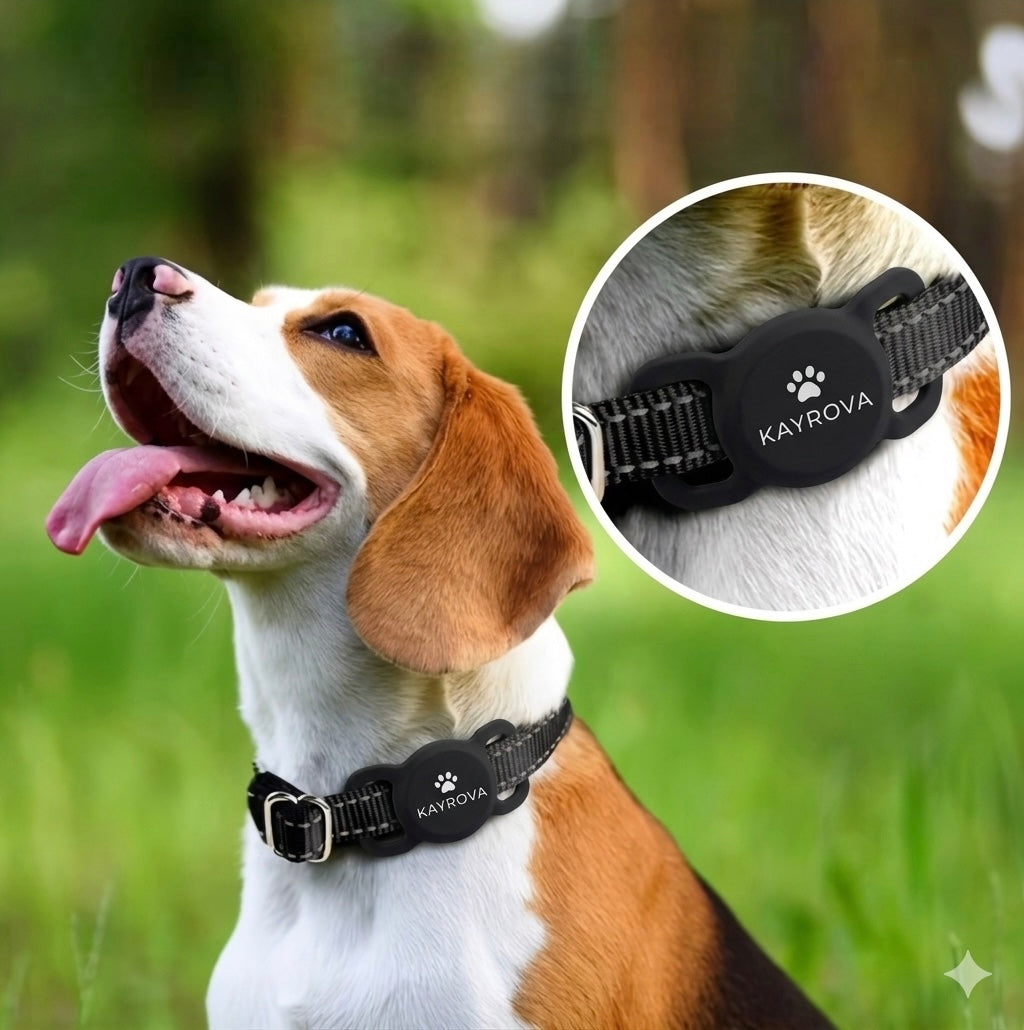 Tracker GPS Connecté