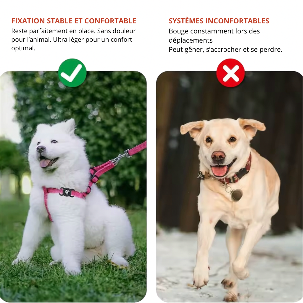 Tracker GPS Connecté