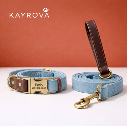 Laisse & Collier Personnalisé