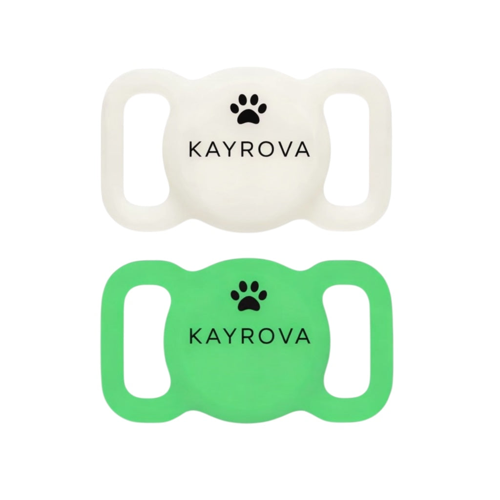 Tracker GPS Connecté